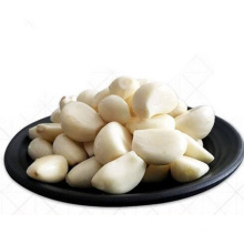 Wholesale peeled garlic price fresh garlic